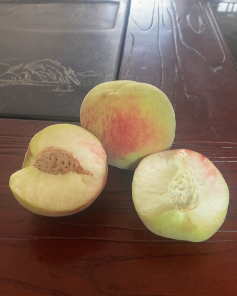 离核甜桃