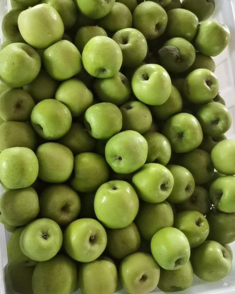 华硕，优三，鲁丽…