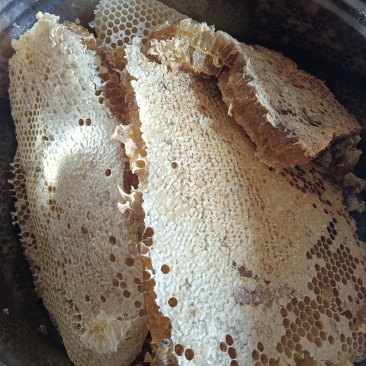 江西正宗土蜂蜜🍯