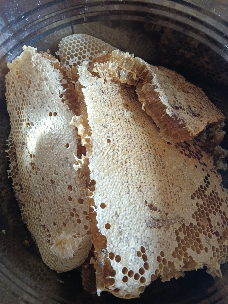 江西正宗土蜂蜜🍯