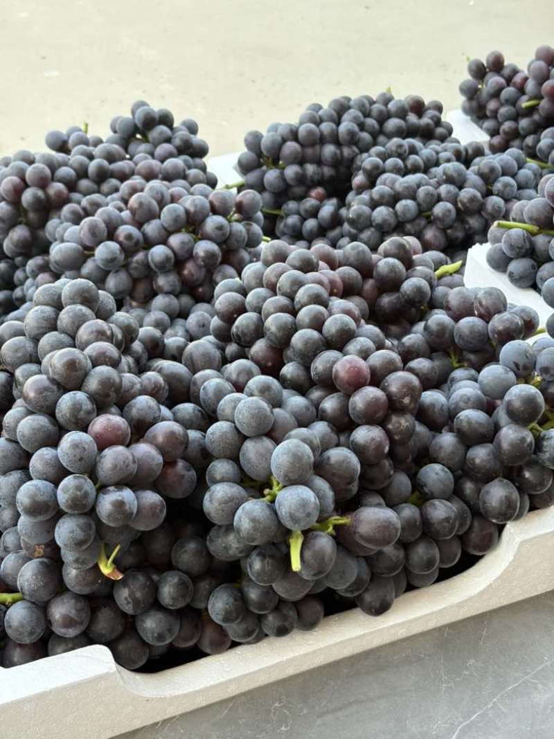 夏黑葡萄🍇