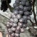 夏黑葡萄🍇