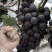 夏黑葡萄🍇