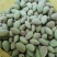 巴旦木鲜果