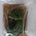 围场腌制蕨菜