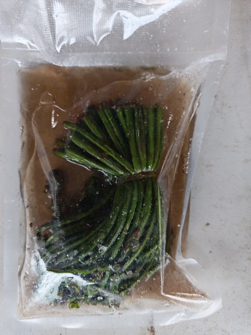 围场腌制蕨菜