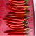 小米辣
