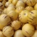 云南石林风化石人参果