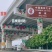 “仙进奉”是一种优质的荔枝品种，原产于中国广东省增城区仙