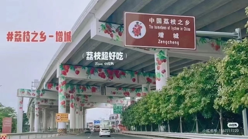 “仙进奉”是一种优质的荔枝品种，原产于中国广东省增城区仙