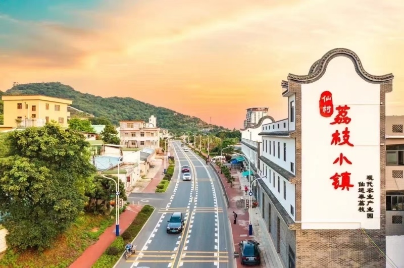 “仙进奉”是一种优质的荔枝品种，原产于中国广东省增城区仙