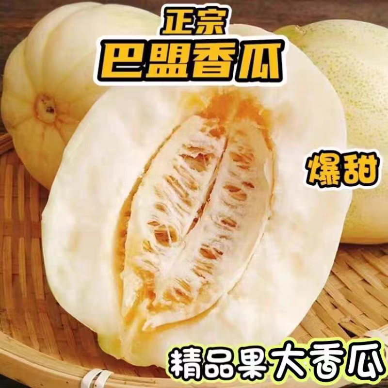 巴盟白莲脆，小香瓜