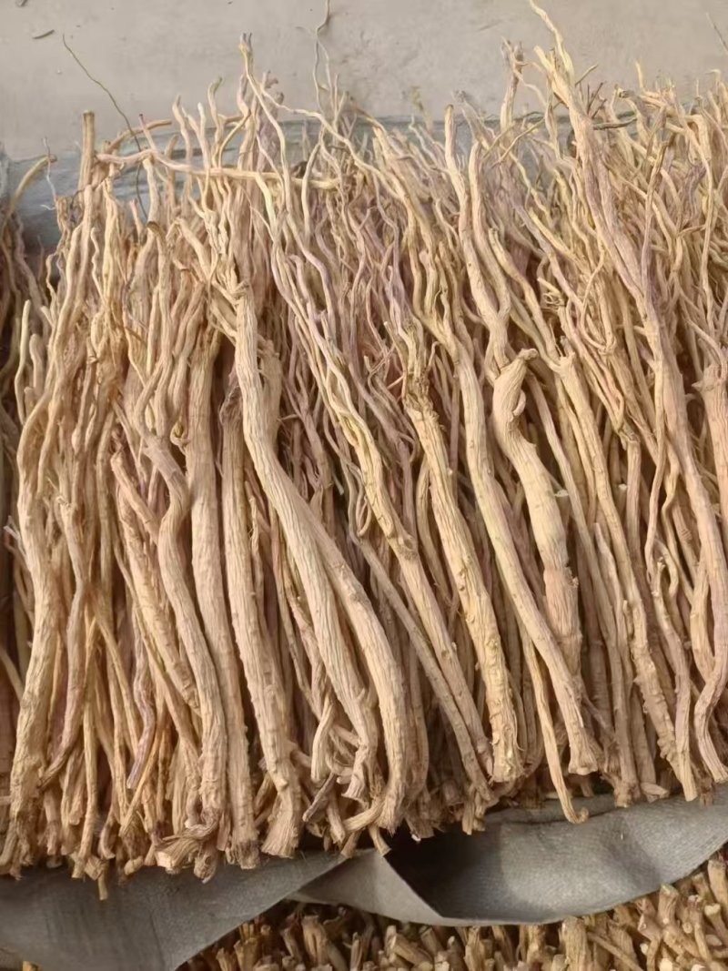 防风微甜，特别像党参，皮色白净，去头防风