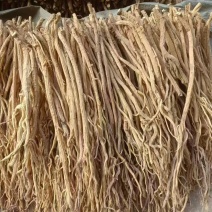 防风微甜，特别像党参，皮色白净，去头防风