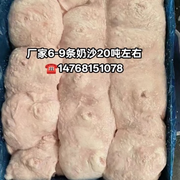 厂家6-9条奶沙20吨