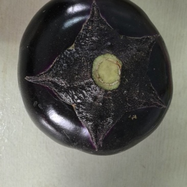 紫色圆茄子