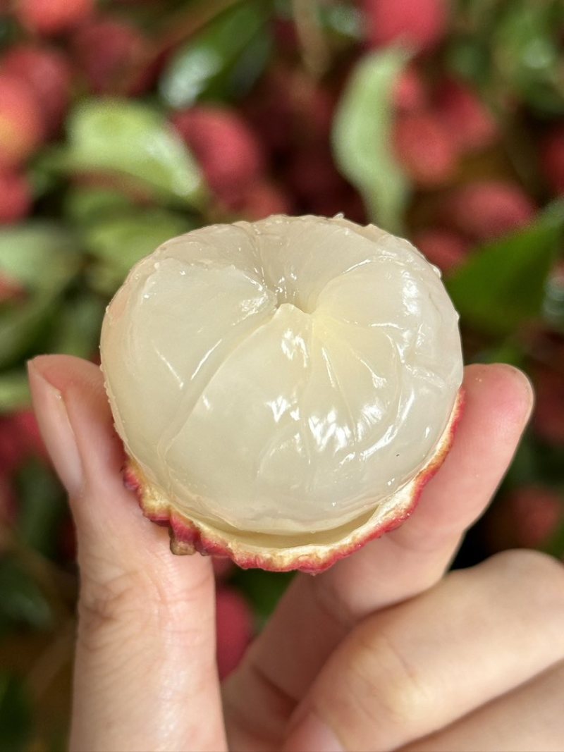 荔枝