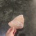 猪耳片