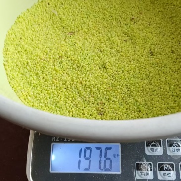 豆丹卵