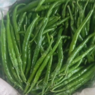 鲜辣椒黑线椒
