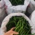 鲜辣椒黑线椒