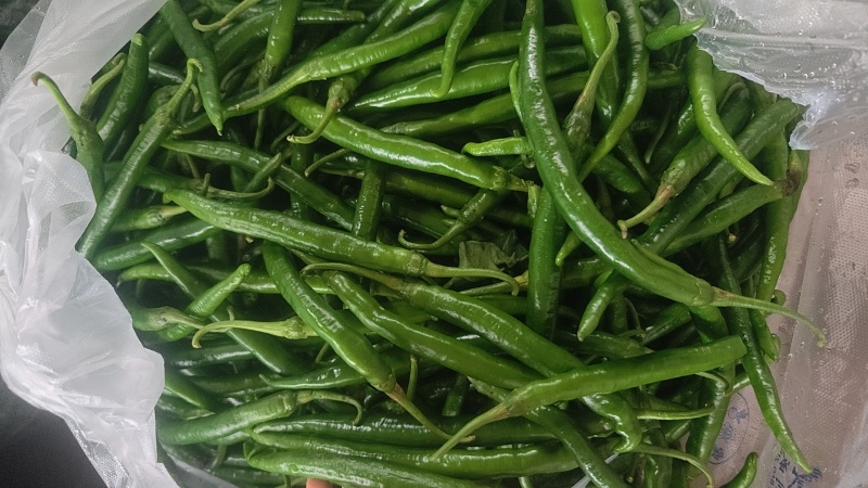 鲜辣椒黑线椒