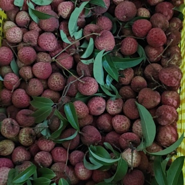 糯米糍荔枝