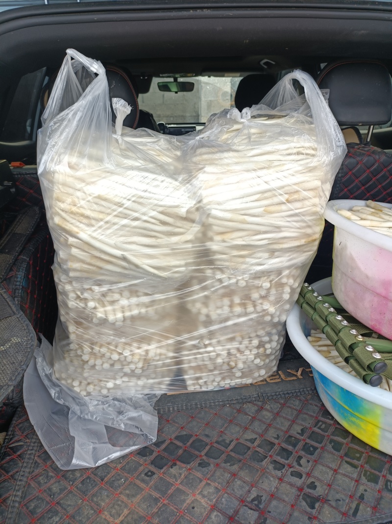 中号、小号15元一斤40