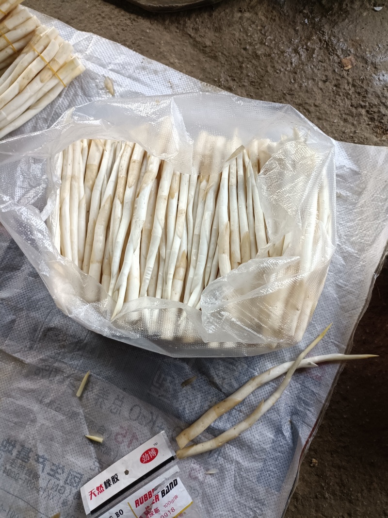 中号、小号15元一斤40