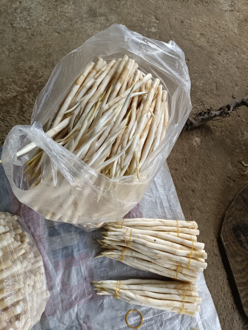 中号、小号15元一斤40