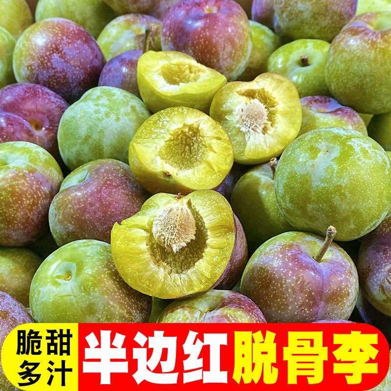 四川半边红李子茵红李脱骨李抖音淘宝拼多多一件代发