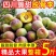 四川半边红李子茵红李脱骨李抖音淘宝拼多多一件代发