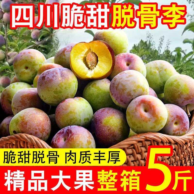 四川半边红李子茵红李脱骨李抖音淘宝拼多多一件代发