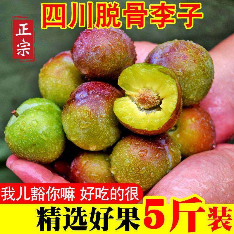 四川半边红李子茵红李脱骨李抖音淘宝拼多多一件代发
