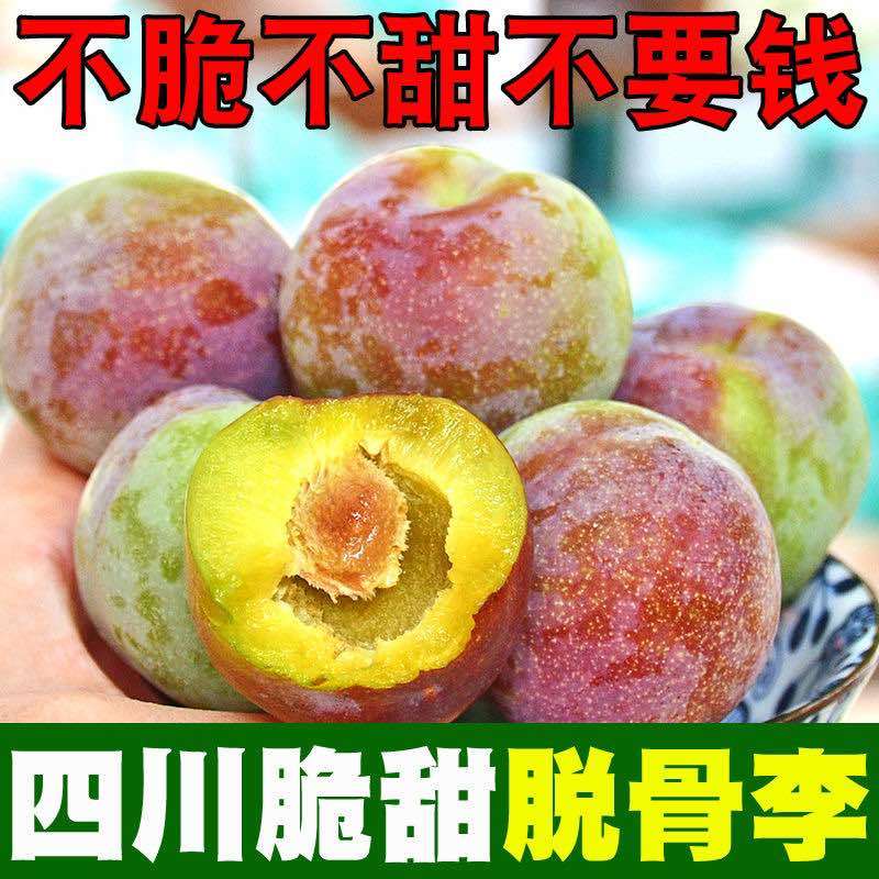 四川半边红李子茵红李脱骨李抖音淘宝拼多多一件代发