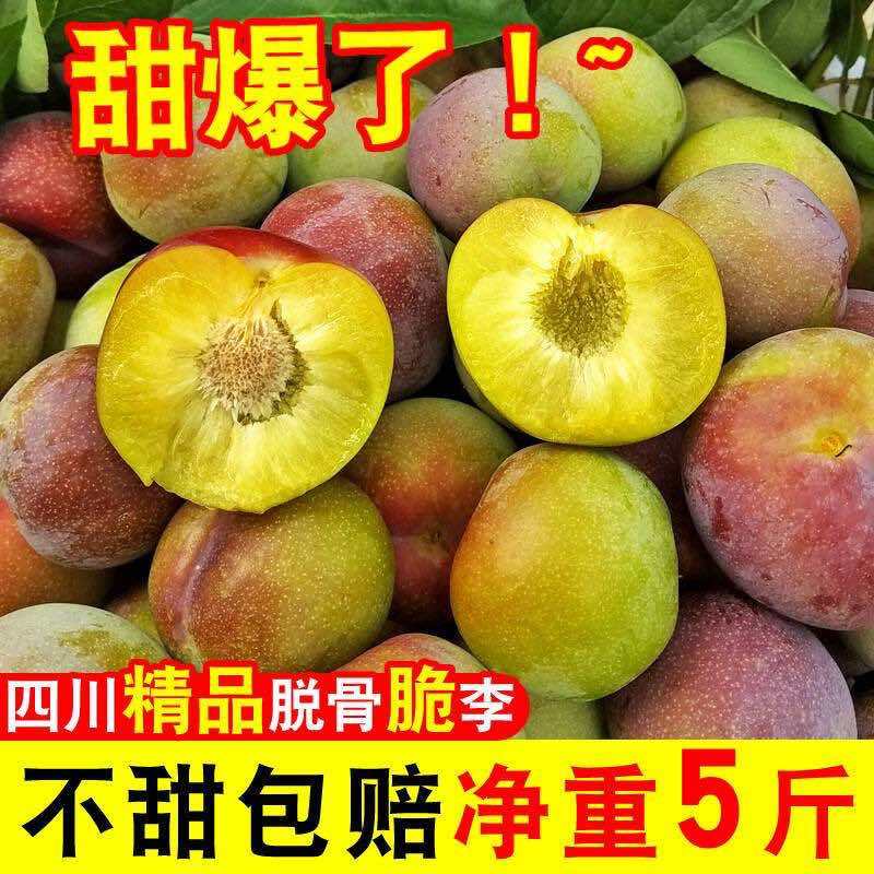 四川半边红李子茵红李脱骨李抖音淘宝拼多多一件代发