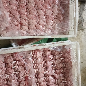 猪脑花2.4个