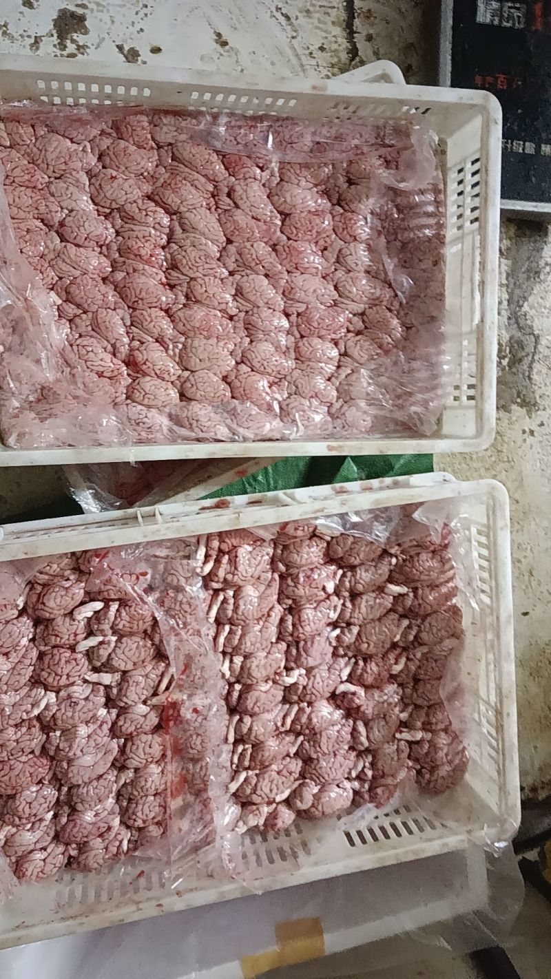 猪脑花2.4个
