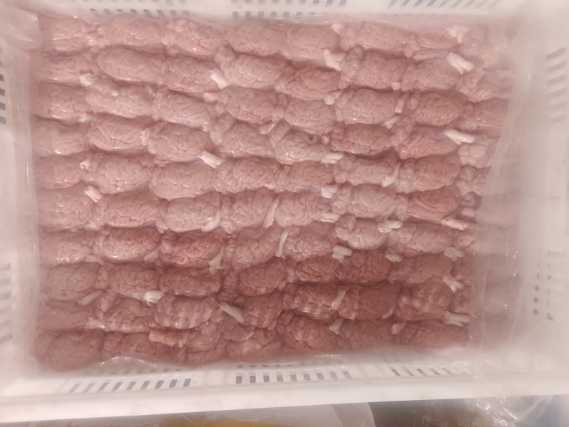 猪脑花2.4个