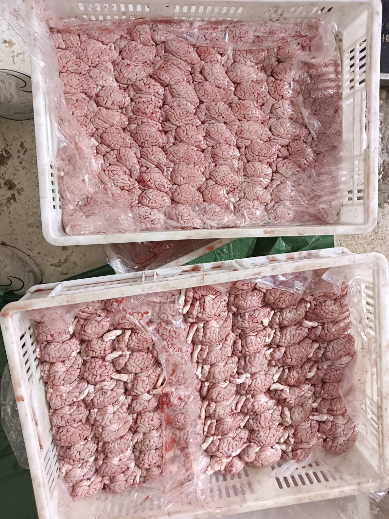 猪脑花2.4个