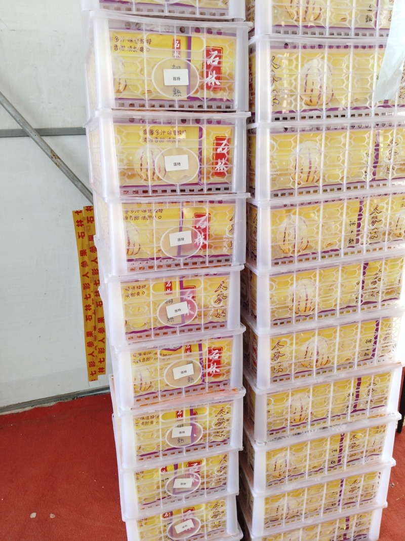 正季人参果，量大从优