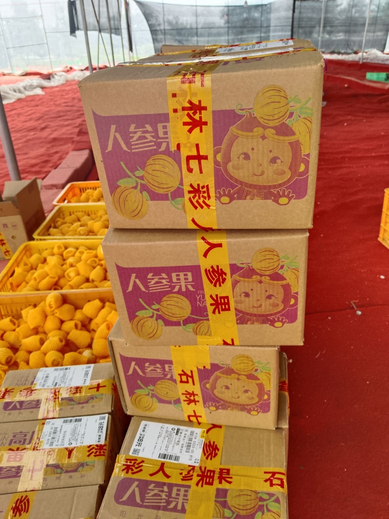 正季人参果，量大从优