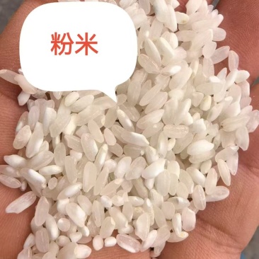优质粉米，图片真实