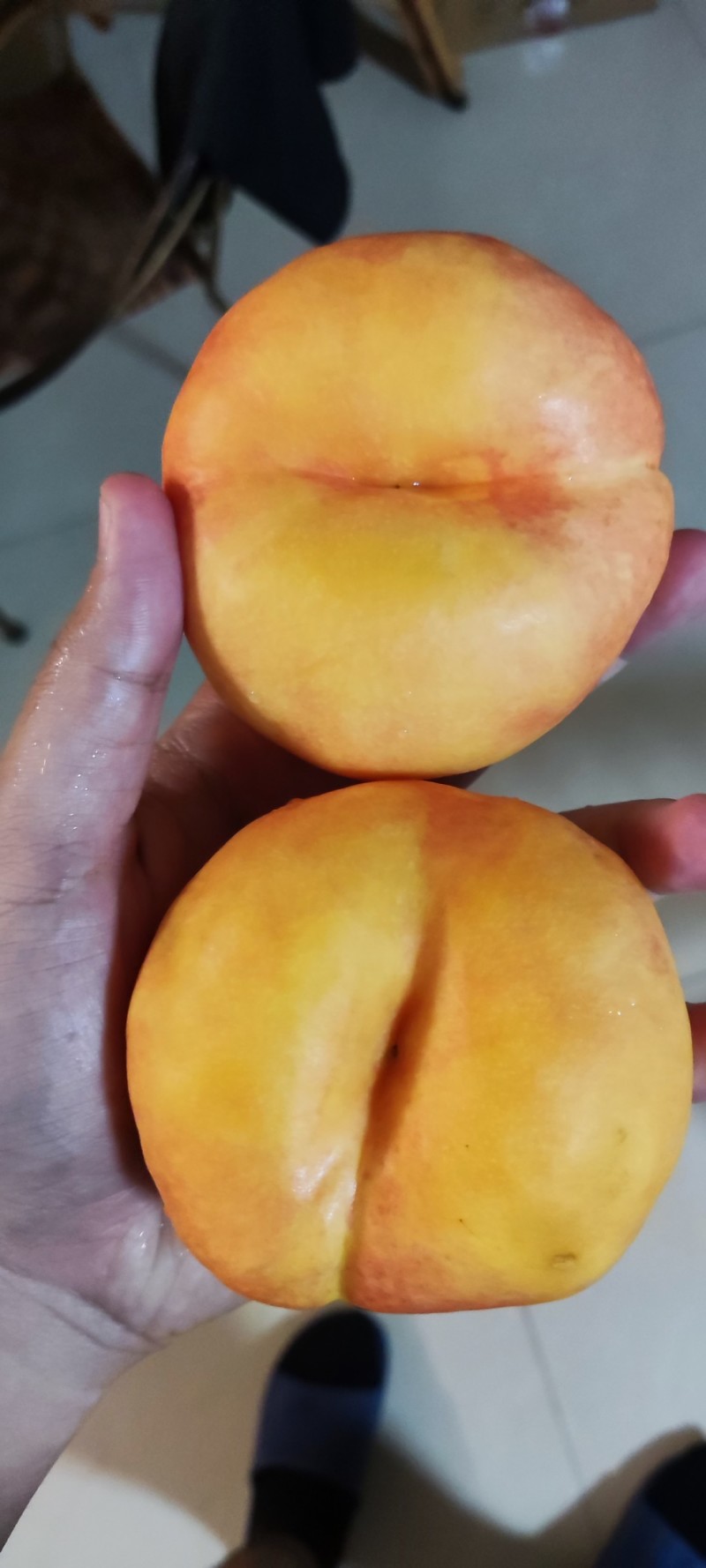 黄蟠桃