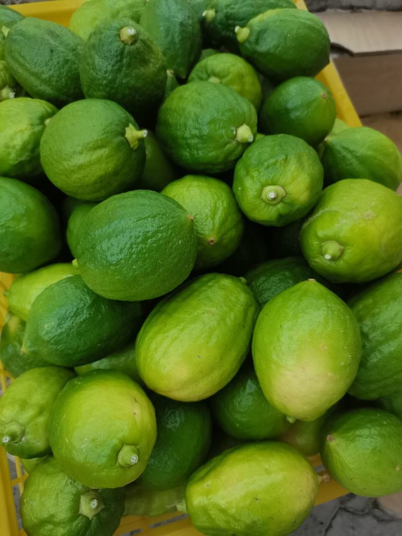 广东香水柠檬