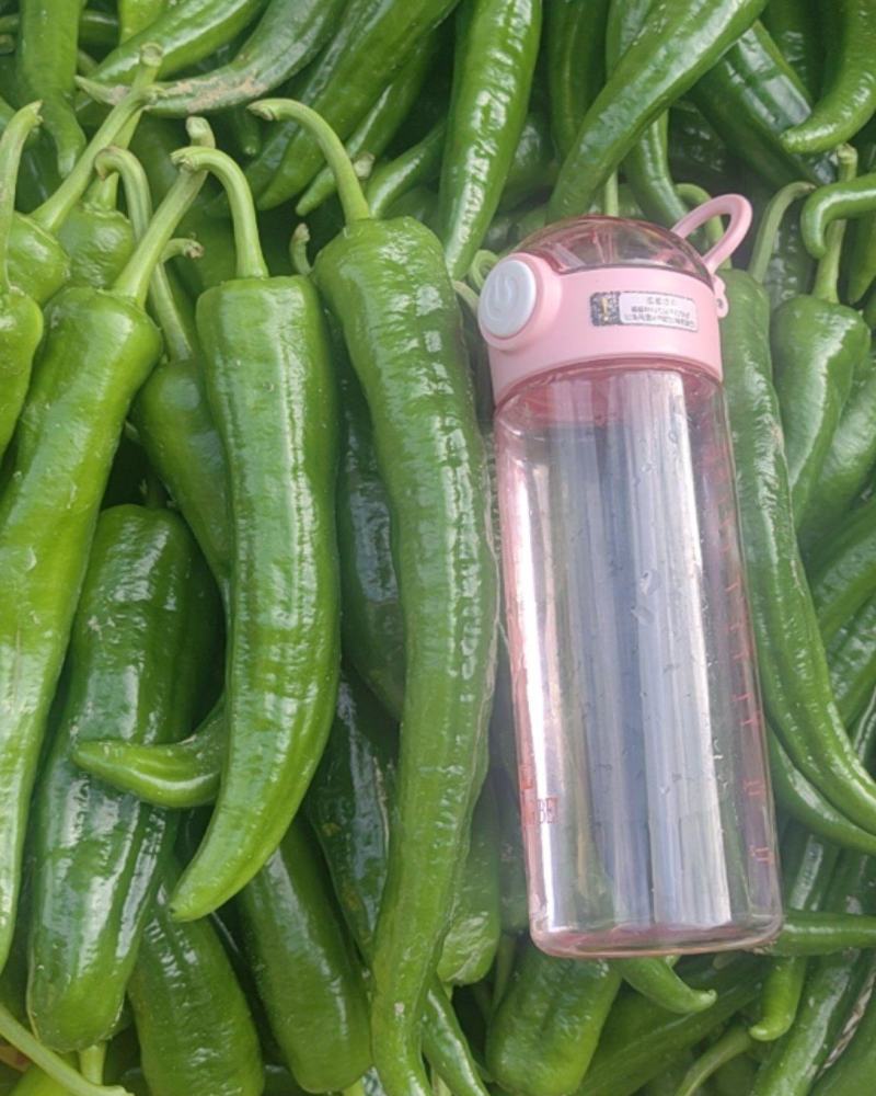 鲜椒