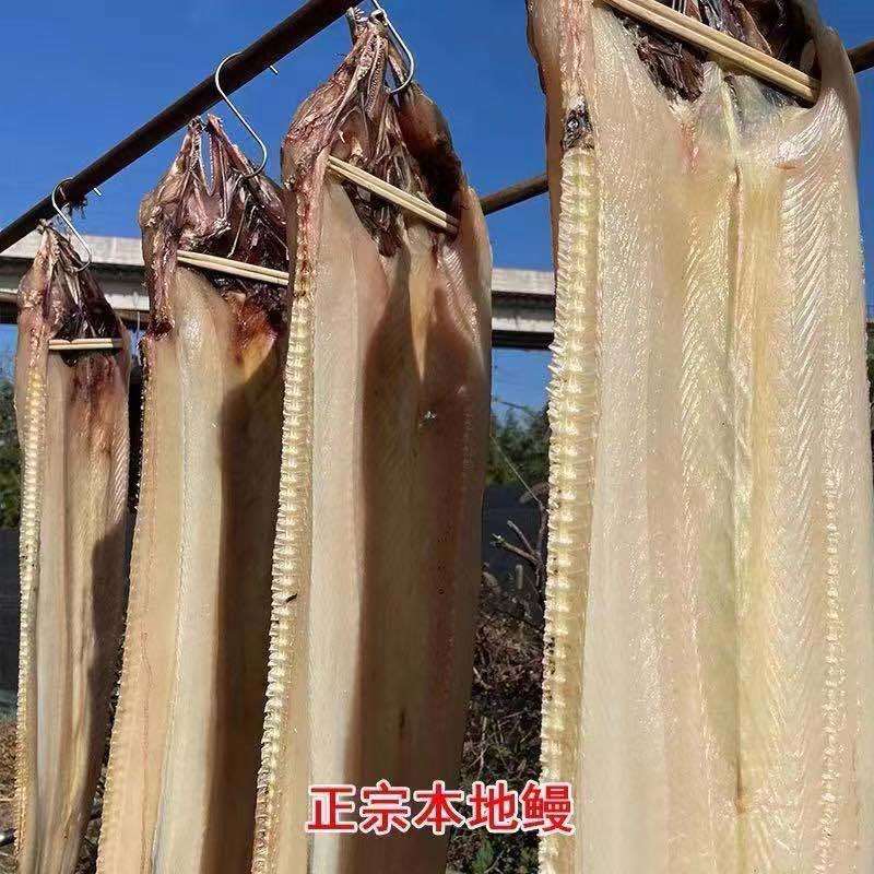 鳗鱼干山东特产盐干淡干鳗鱼干海鳗干晒场直供货