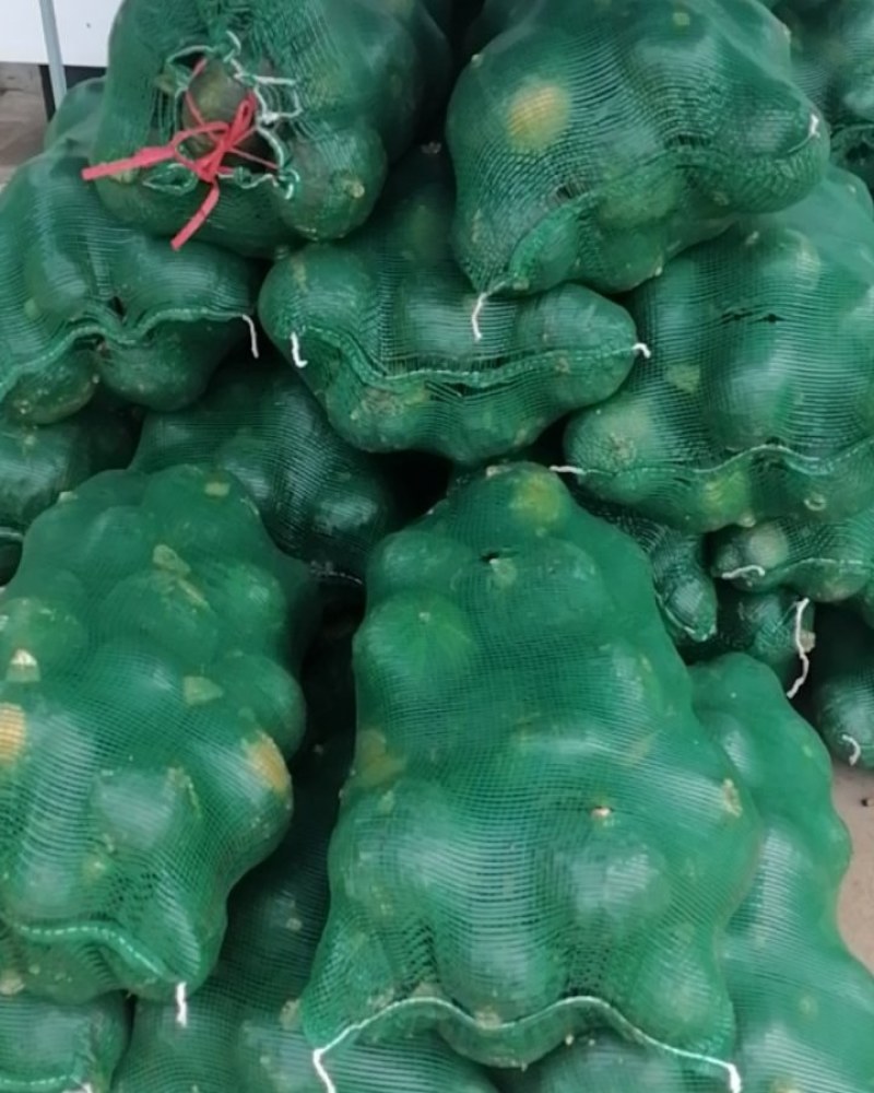 板栗南瓜