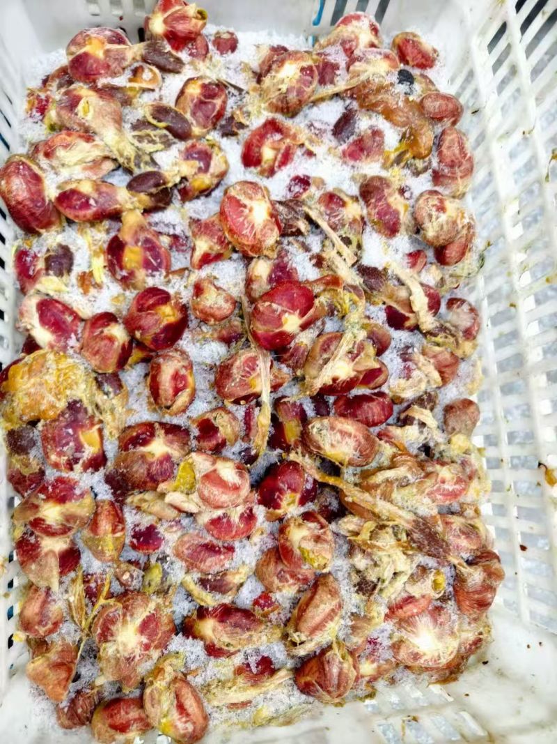 带饲料老母鸡毛胗，6吨左右，非标准件今年3月份的