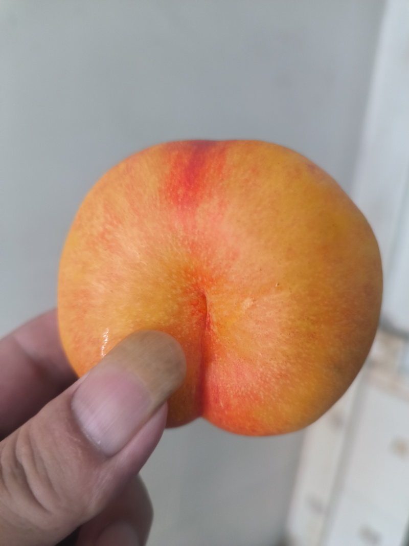 蟠桃